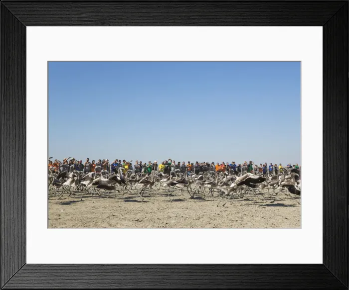 Framed Print : Picture No. 12019993 Framed Print : Picture No. 12019993