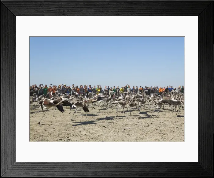 Framed Print : Picture No. 12019994 Framed Print : Picture No. 12019994