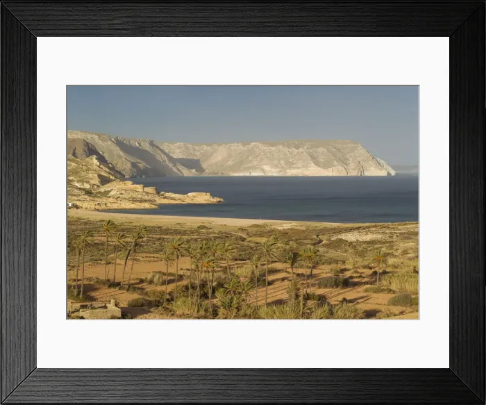 Framed Print : Picture No. 12019996