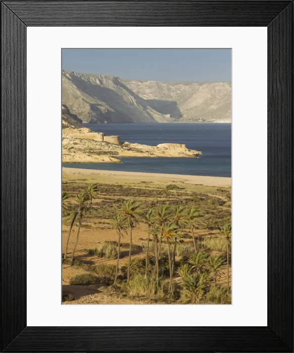 Framed Print : Picture No. 12019997 Framed Print : Picture No. 12019997