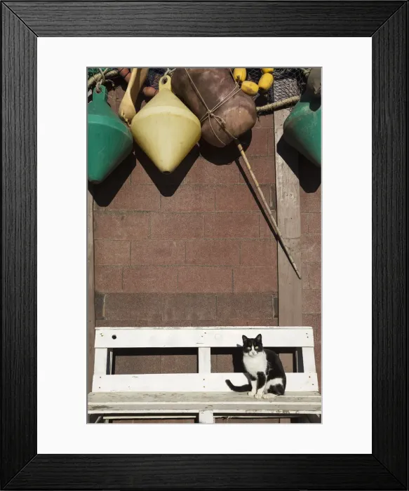 Framed Print : Picture No. 12019999 Framed Print : Picture No. 12019999