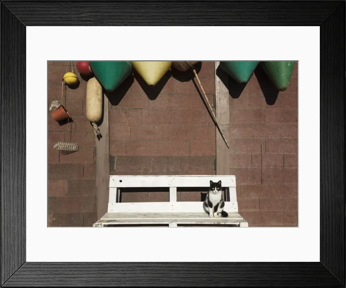Framed Print : Picture No. 12020000 Framed Print : Picture No. 12020000