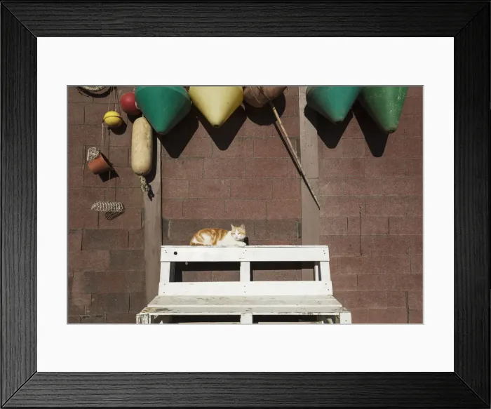 Framed Print : Picture No. 12020001 Framed Print : Picture No. 12020001