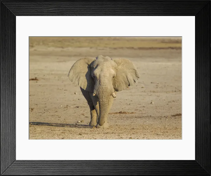 Framed Print : Picture No. 12020024 Framed Print : Picture No. 12020024