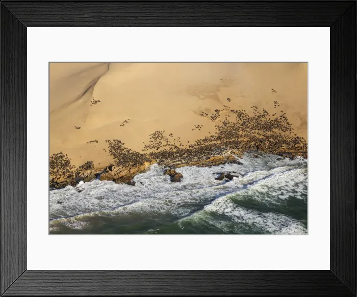 Framed Print : Picture No. 12020038 Framed Print : Picture No. 12020038