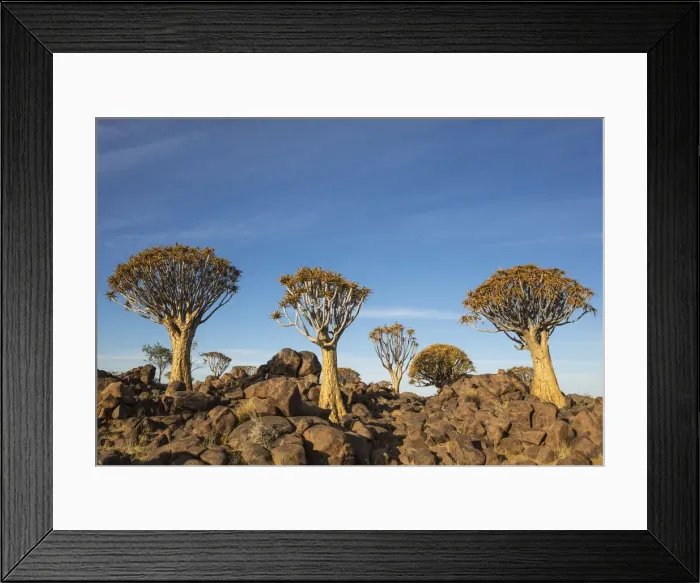 Framed Print : Picture No. 12020047 Framed Print : Picture No. 12020047