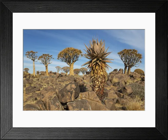 Framed Print : Picture No. 12020046 Framed Print : Picture No. 12020046