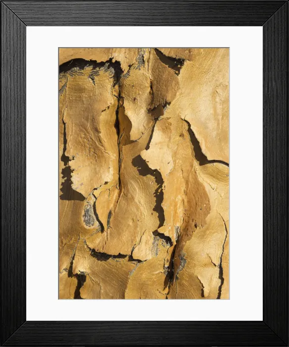 Framed Print : Picture No. 12020053 Framed Print : Picture No. 12020053