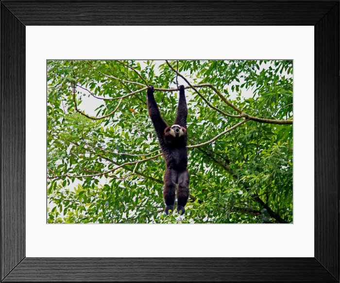 Framed Print : Picture No. 12018888 Framed Print : Picture No. 12018888