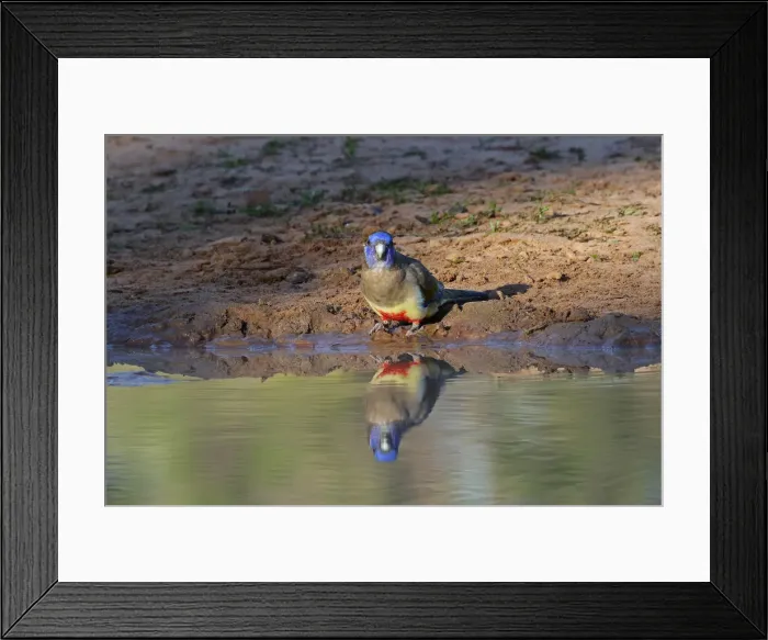 Framed Print : Picture No. 12018893 Framed Print : Picture No. 12018893