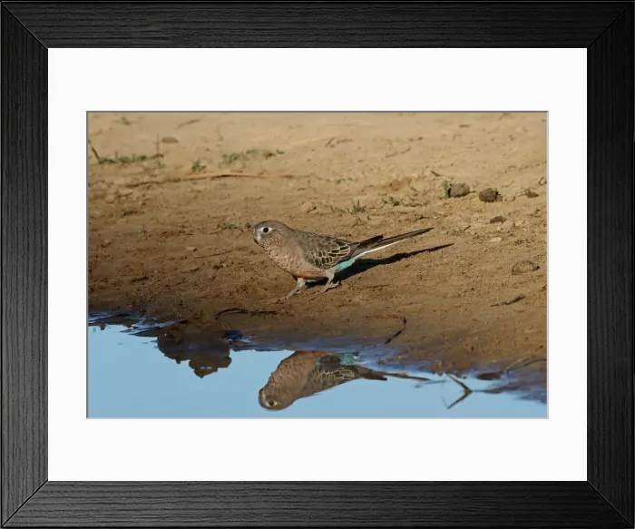 Framed Print : Picture No. 12018894 Framed Print : Picture No. 12018894