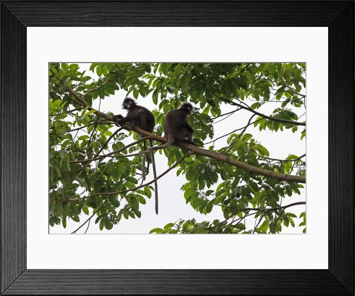 Framed Print : Picture No. 12018903 Framed Print : Picture No. 12018903