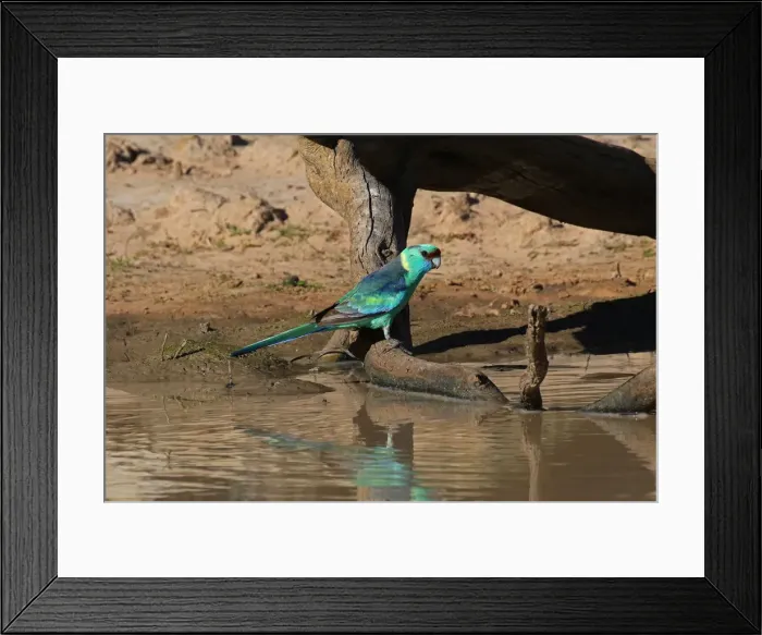 Framed Print : Picture No. 12018906 Framed Print : Picture No. 12018906