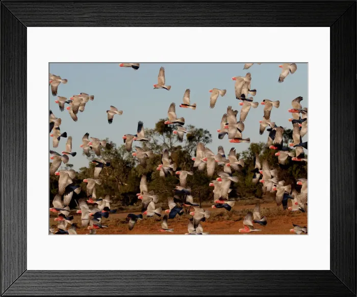 Framed Print : Picture No. 12018913 Framed Print : Picture No. 12018913