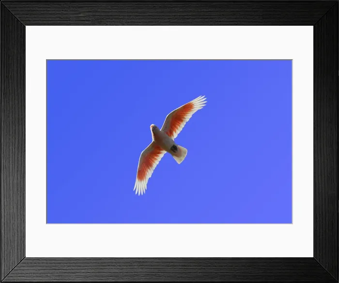 Framed Print : Picture No. 12018918 Framed Print : Picture No. 12018918