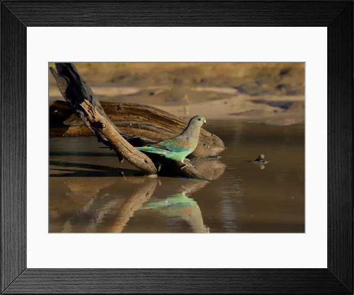 Framed Print : Picture No. 12018925 Framed Print : Picture No. 12018925
