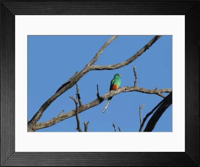 Framed Print : Picture No. 12018926 Framed Print : Picture No. 12018926