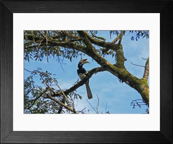 Framed Print : Picture No. 12018934