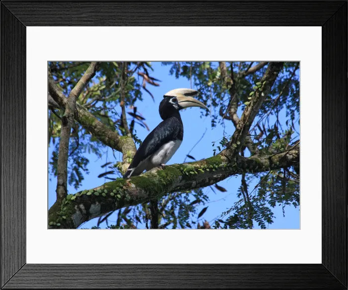 Framed Print : Picture No. 12018935 Framed Print : Picture No. 12018935