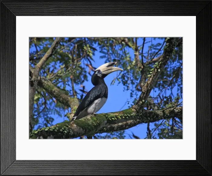 Framed Print : Picture No. 12018936 Framed Print : Picture No. 12018936