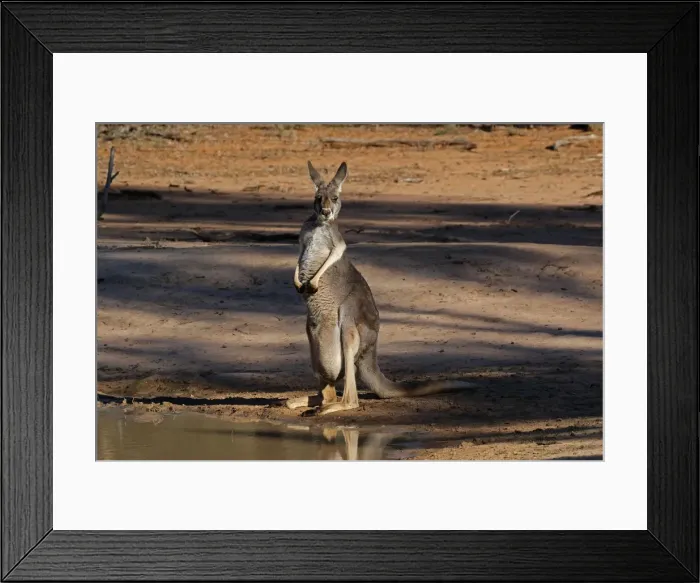 Framed Print : Picture No. 12018937 Framed Print : Picture No. 12018937