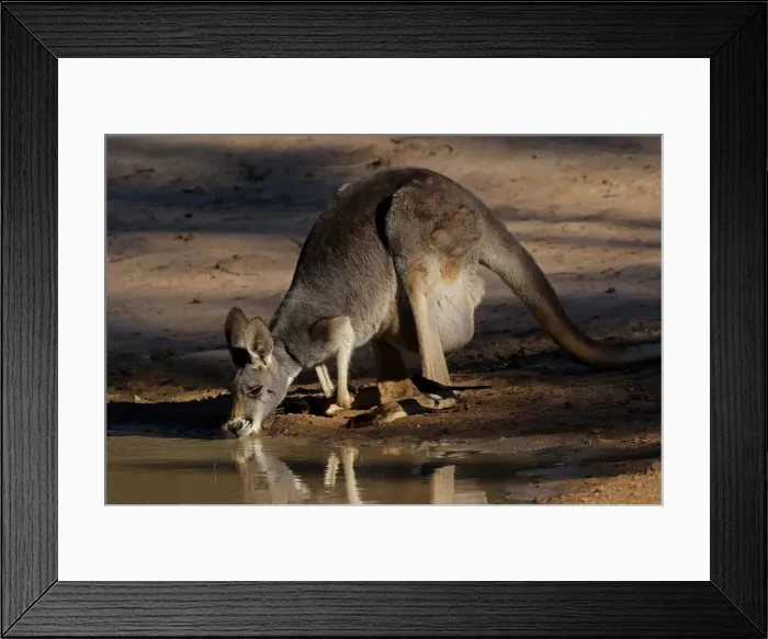 Framed Print : Picture No. 12018938 Framed Print : Picture No. 12018938