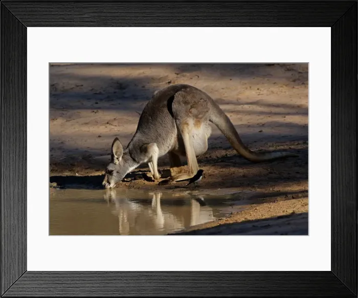 Framed Print : Picture No. 12018939 Framed Print : Picture No. 12018939