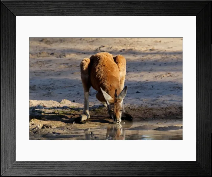 Framed Print : Picture No. 12018941 Framed Print : Picture No. 12018941