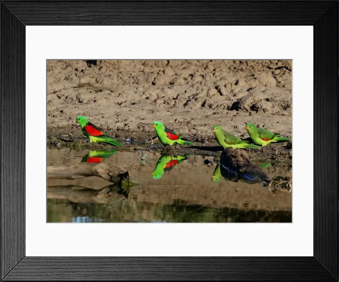 Framed Print : Picture No. 12018942 Framed Print : Picture No. 12018942