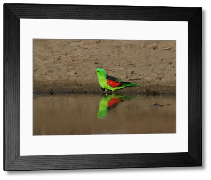 Framed Print : Picture No. 12018943 Framed Print : Picture No. 12018943