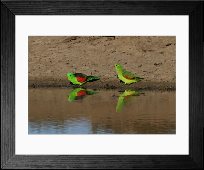 Framed Print : Picture No. 12018944 Framed Print : Picture No. 12018944