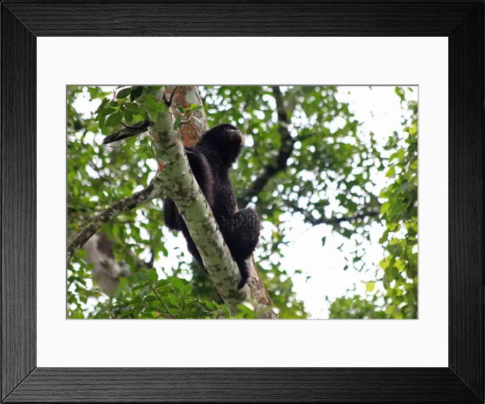 Framed Print : Picture No. 12018945 Framed Print : Picture No. 12018945