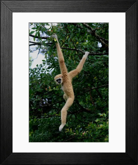 Framed Print : Picture No. 12018951 Framed Print : Picture No. 12018951
