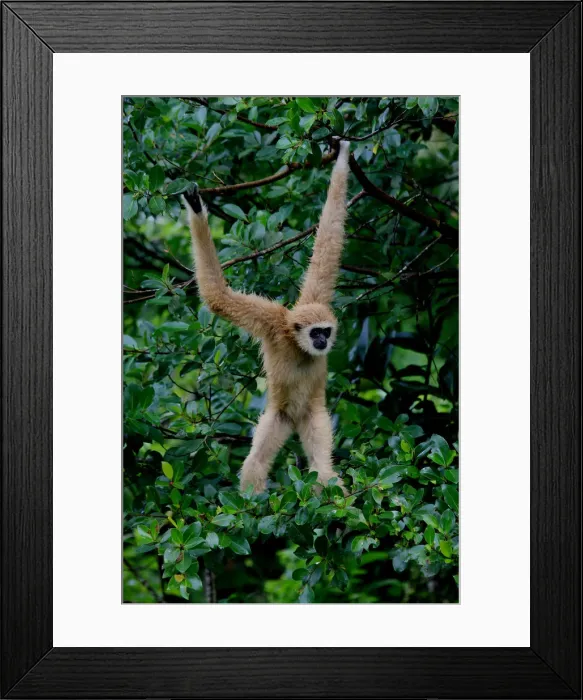 Framed Print : Picture No. 12018953 Framed Print : Picture No. 12018953