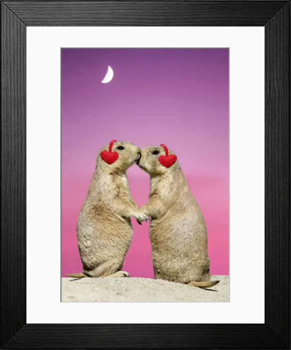 Framed Print : Picture No. 12020859 Framed Print : Picture No. 12020859