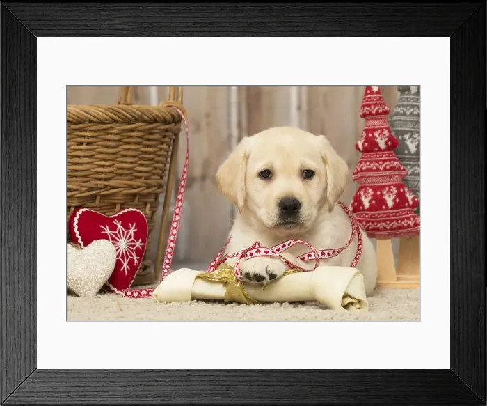 Framed Print : Picture No. 12019031 Framed Print : Picture No. 12019031