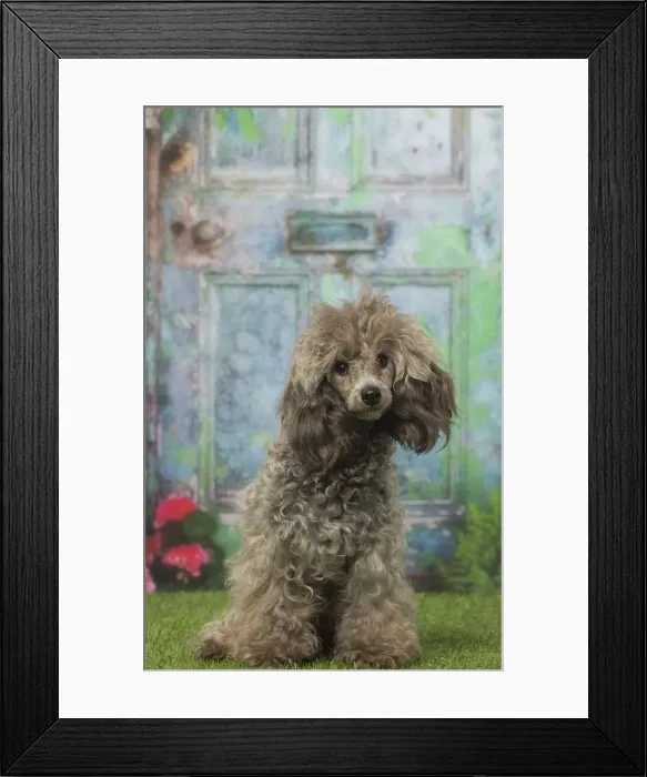 Framed Print : Picture No. 12019156 Framed Print : Picture No. 12019156
