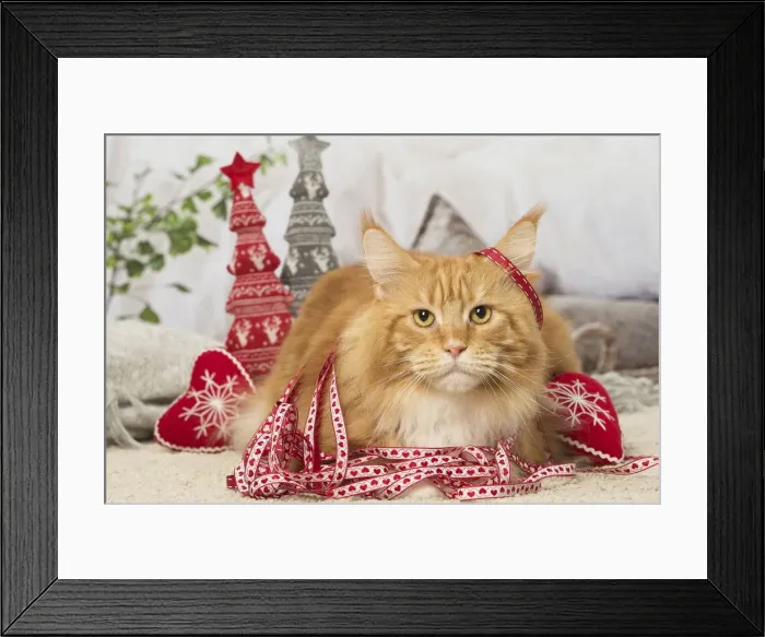 Framed Print : Picture No. 12019175 Framed Print : Picture No. 12019175