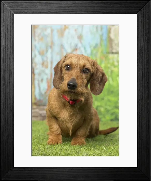 Framed Print : Picture No. 12019187 Framed Print : Picture No. 12019187