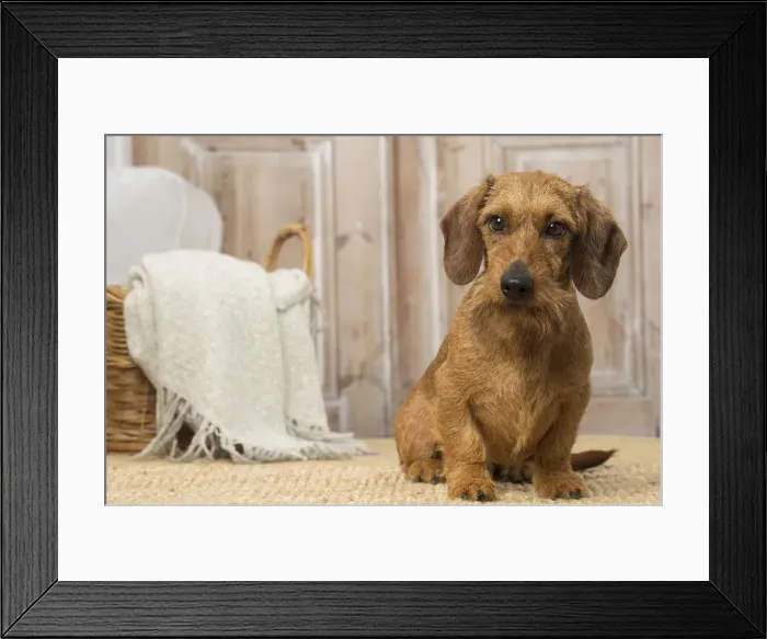 Framed Print : Picture No. 12019189 Framed Print : Picture No. 12019189