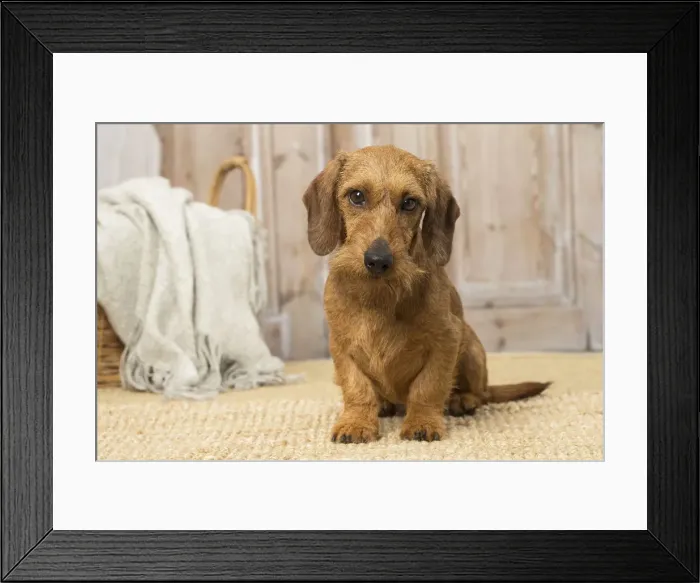 Framed Print : Picture No. 12019190 Framed Print : Picture No. 12019190