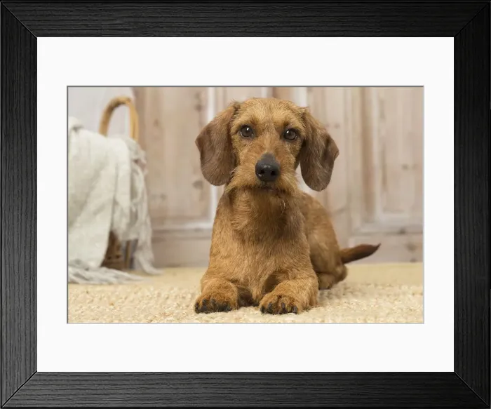 Framed Print : Picture No. 12019191 Framed Print : Picture No. 12019191
