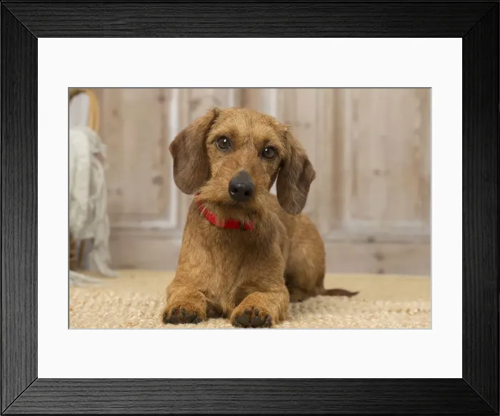 Framed Print : Picture No. 12019192 Framed Print : Picture No. 12019192