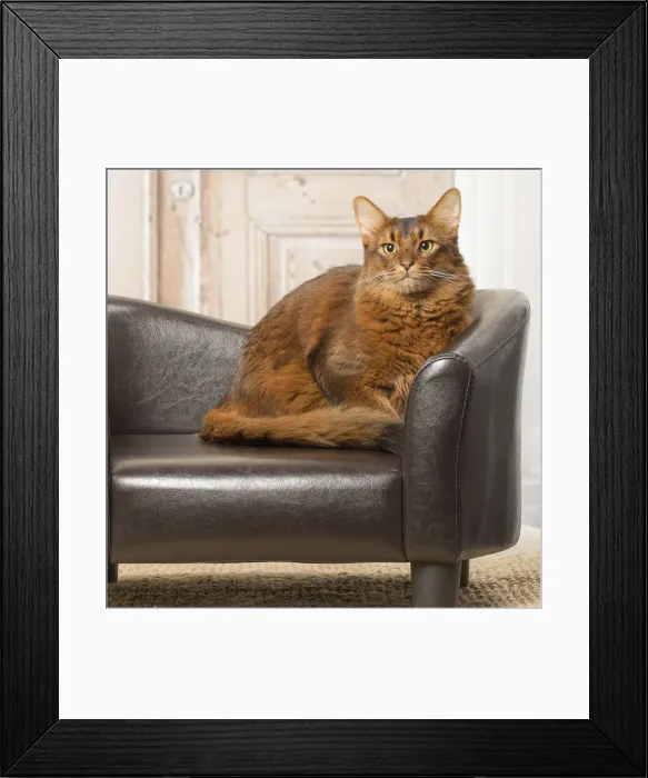 Framed Print : Picture No. 12019290 Framed Print : Picture No. 12019290