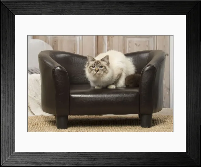 Framed Print : Picture No. 12019312 Framed Print : Picture No. 12019312