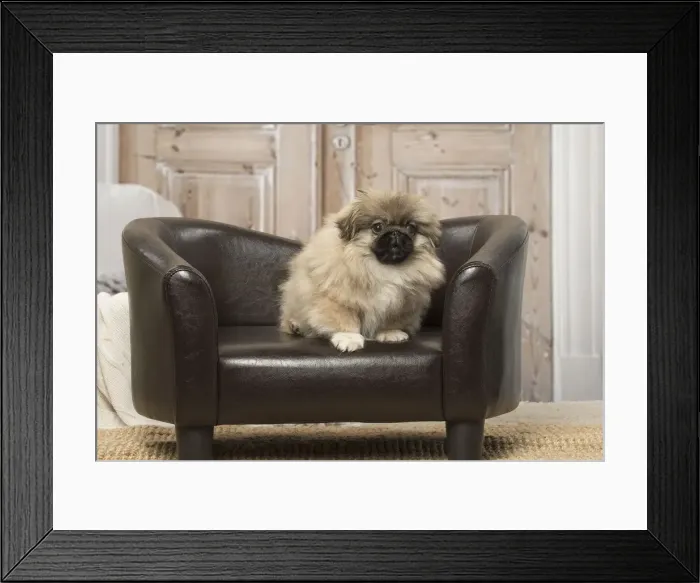Framed Print : Picture No. 12019313 Framed Print : Picture No. 12019313
