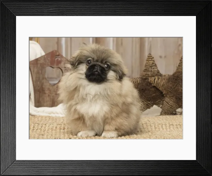 Framed Print : Picture No. 12019323 Framed Print : Picture No. 12019323