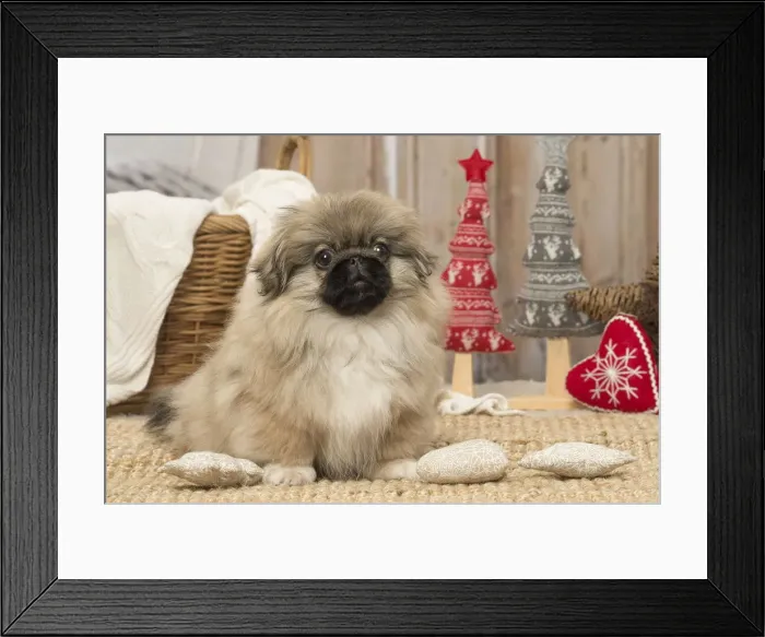 Framed Print : Picture No. 12019324 Framed Print : Picture No. 12019324