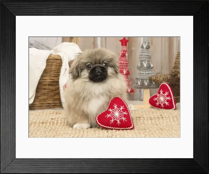 Framed Print : Picture No. 12019325 Framed Print : Picture No. 12019325