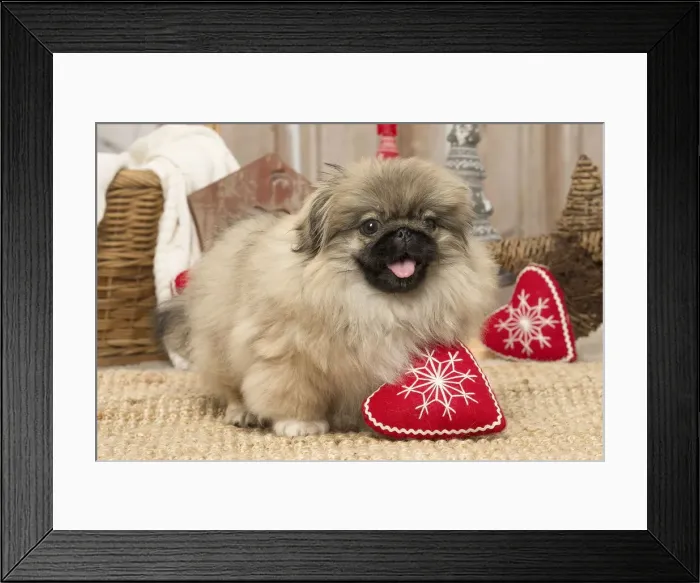 Framed Print : Picture No. 12019326 Framed Print : Picture No. 12019326